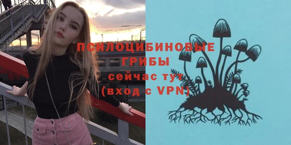 шишки Зерноград