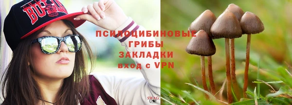 шишки Зерноград