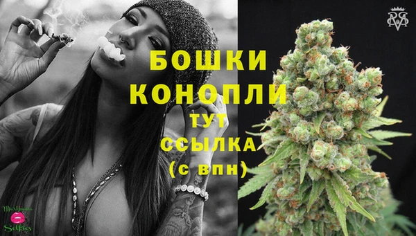 прущая мука Инта
