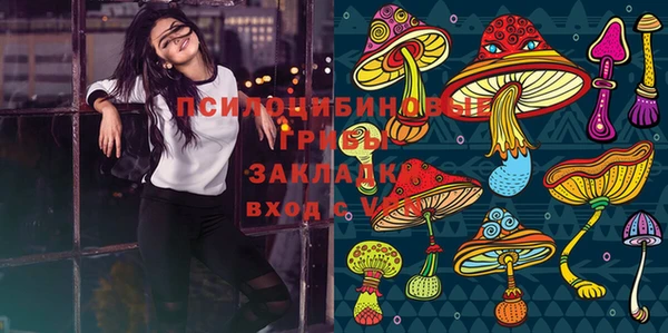 шишки Зерноград
