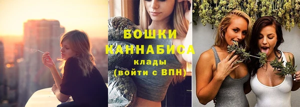 шишки Зерноград