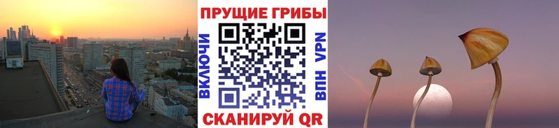 Псилоцибиновые грибы ЛСД  Купить закладки  Осинники 